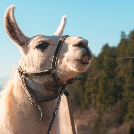 Ranch At Geta Lantställe Razgorce
