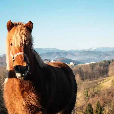Lantställe Ranch At Geta Razgorce
