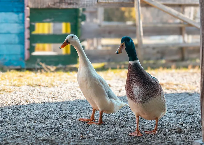 Ranch At Geta Country house