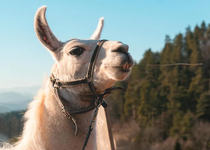 Ranch At Geta Country house Razgorce