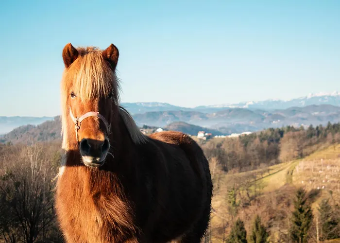 Country house Ranch At Geta Razgorce